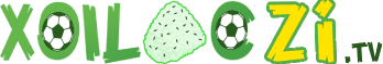 các món xào